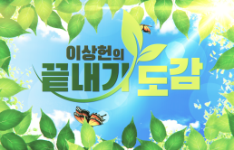 입문이성근의 실전 체스 