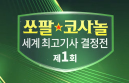 입문이성근의 실전 체스 